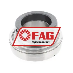 FAG 16209
