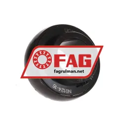 FAG UC207