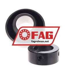 FAG 16204 rulman resim 2