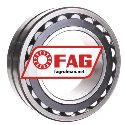 FAG 23124-E1-K-TVPB