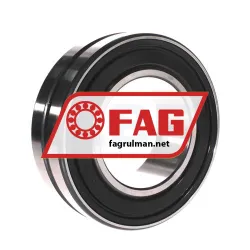 FAG WS22220-E1-XL-K-2RSR rulman resim 2