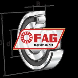 FAG 20210-K-TVP-C3 rulman resim 4