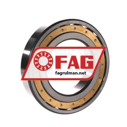 FAG 20217-MB-C3