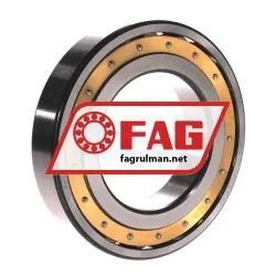 FAG 20217-MB rulman resim 2