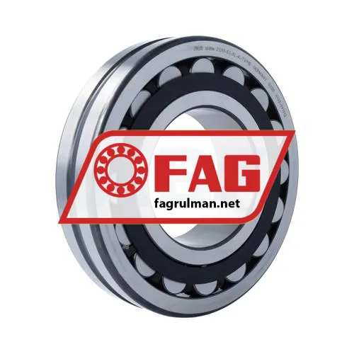 FAG 21319-E1-XL-K-TVPB