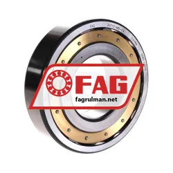 FAG 20313-MB-C4