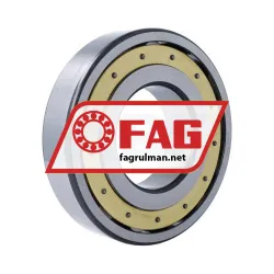 FAG 20319-MB rulman resim 2