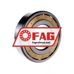 FAG 20313-MB