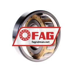 FAG 20313-MB rulman resim 2