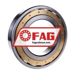 FAG 20221-MB