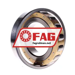 FAG 20221-MB rulman resim 2