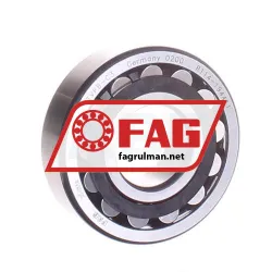 FAG 21305-E1-XL-TVPB-C3