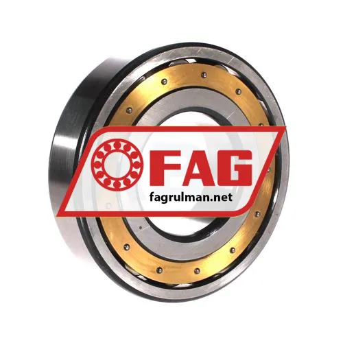 FAG 20313-MB-C3 ürün fotoğrafı 2