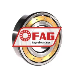 FAG 20313-MB-C3