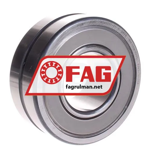 FAG WS22311-E1-XL-2RSR