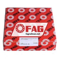 FAG 21314-E1-XL rulman resim 5