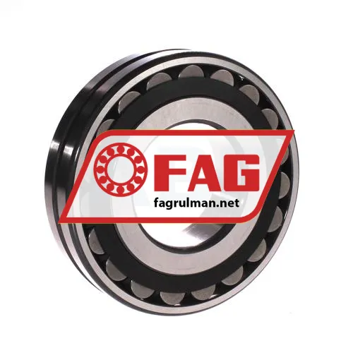 FAG 21313-E1-XL-TVPB