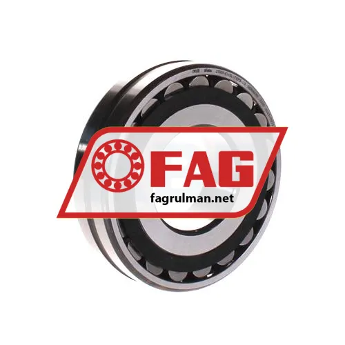 FAG 21309-E1-XL-TVPB-C3