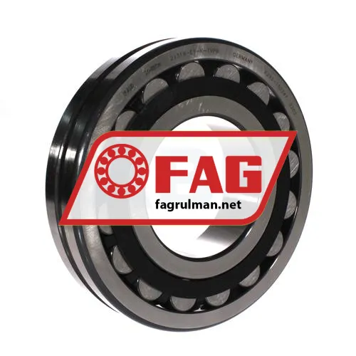 FAG 21319-E1-K-TVPB