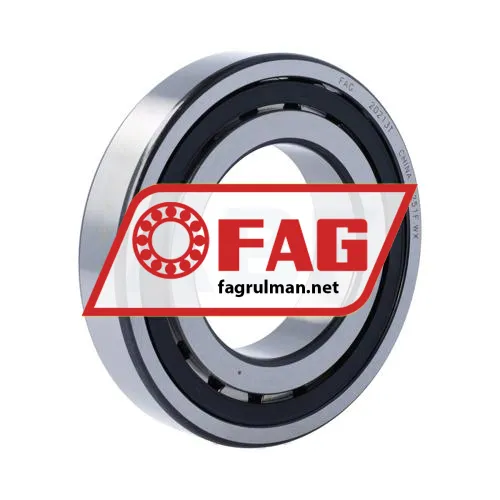 FAG 20213T