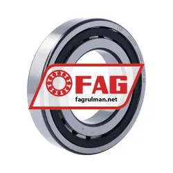 FAG 20213T