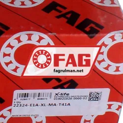 FAG 22324-E1A-XL-MA-T41A rulman resim 6