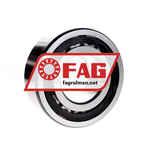 FAG 22319-E1-XL-C3