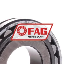 FAG 21309-E1-XL-K rulman resim 2