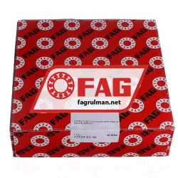 FAG 22220-E1-XL