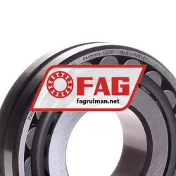 FAG 21309-E1-XL rulman resim 2