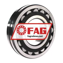 FAG 21319-E1-XL-TVPB