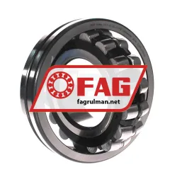 FAG 21319-E1-XL-TVPB rulman resim 4