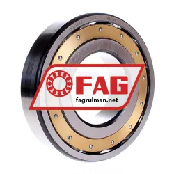 FAG 20318-MB