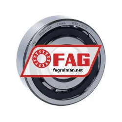FAG 20304-TVP
