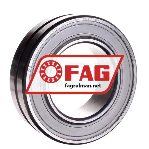 FAG WS22216-E1-XL-2RSR
