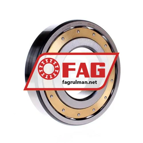 FAG 20318MB