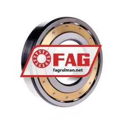 FAG 20318MB