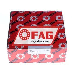 FAG 22313-E1-XL rulman resim 5