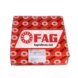 FAG 22220-E1-K-C3 rulman resim 4