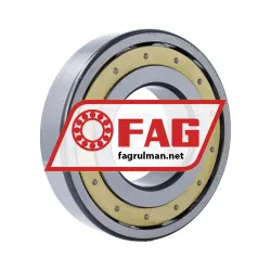 FAG 20319MB