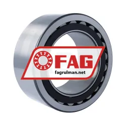 FAG F-800730-PRL rulman resim 2