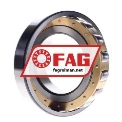 FAG 20220-MB rulman resim 2
