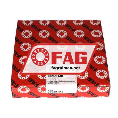 FAG 20219-MB