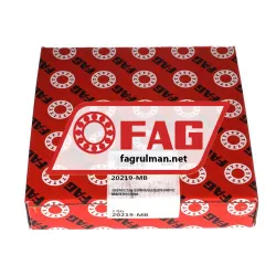 FAG 20219-MB