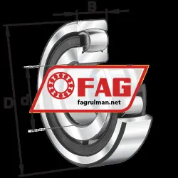 FAG 20210-TVP rulman resim 4