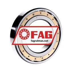 FAG 20217MB