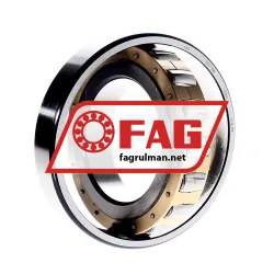 FAG 20217MB rulman resim 2