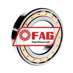 FAG 20217MB rulman resim 3