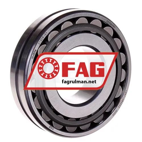 FAG 21309-E1