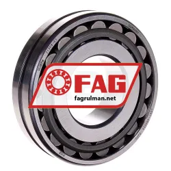 FAG 21309-E1